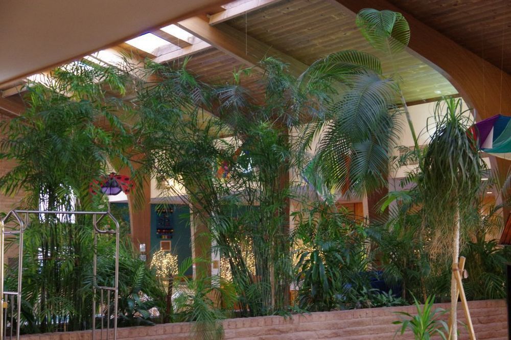 Douglas Inn And Conference Center Extérieur photo